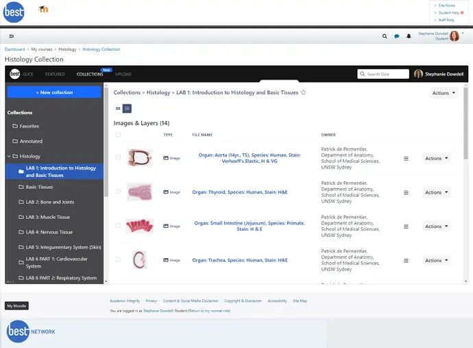 Image to show Slice feature - LMS Integration